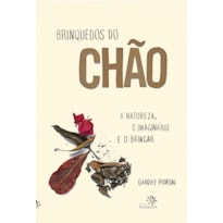 BRINQUEDOS DO CHÃO: A NATUREZA, O IMAGINÁRIO E O BRINCAR