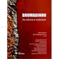 BRUMADINHO - DA CIÊNCIA À REALIDADE