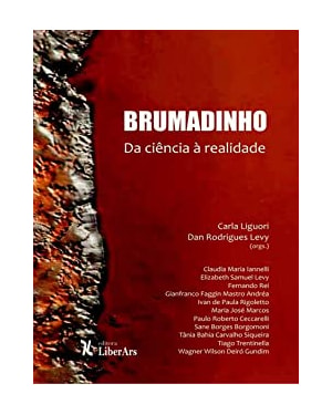 BRUMADINHO - DA CIÊNCIA À REALIDADE