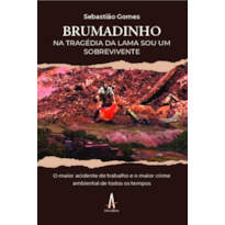 Brumadinho: na tragédia da lama, sou um sobrevivente