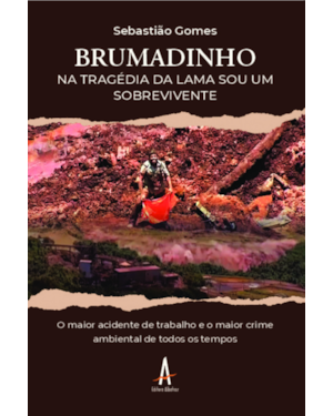 Brumadinho: na tragédia da lama, sou um sobrevivente