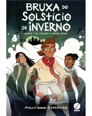BRUXA DO SOLSTÍCIO DE INVERNO (VOL. 3 O MENINO BRUXA)