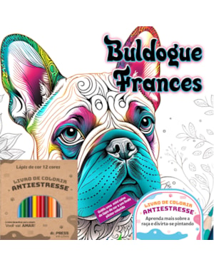 BULDOGUE FRANCÊS