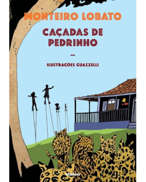 CAÇADAS DE PEDRINHO