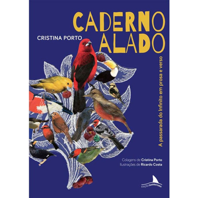 CADERNO ALADO