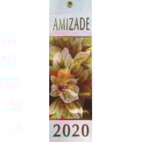 CALENDÁRIO DA AMIZADE - 2020