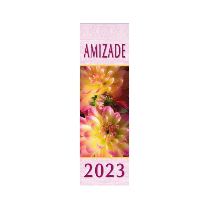 CALENDÁRIO DA AMIZADE 2023