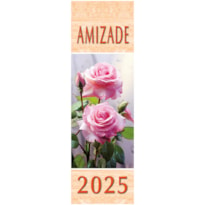 CALENDÁRIO DA AMIZADE 2025