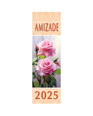 CALENDÁRIO DA AMIZADE 2025