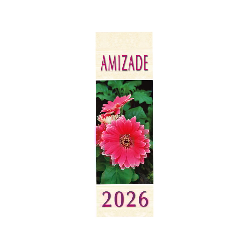 CALENDÁRIO DA AMIZADE 2026