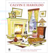 CALVIN E HAROLDO VOL 14: O LIVRO DOS DOMINGOS DE PREGUIÇA DE CALVIN E HAROLDO