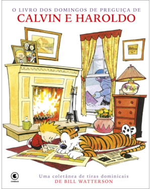 CALVIN E HAROLDO VOL 14: O LIVRO DOS DOMINGOS DE PREGUIÇA DE CALVIN E HAROLDO
