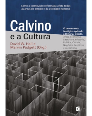 CALVINO E A CULTURA