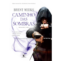 CAMINHO DAS SOMBRAS (ANJO DA NOITE - LIVRO 1)