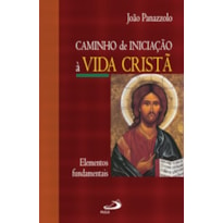 CAMINHO DE INICIACAO A VIDA CRISTA - ELEMENTOS FUNDAMENTAIS - COL.CATEQUESE