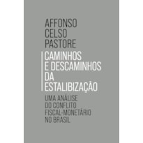 CAMINHOS E DESCAMINHOS DA ESTABILIZAÇÃO: UMA ANÁLISE DO CONFLITO FISCAL-MONETÁRIO NO BRASIL