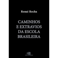 CAMINHOS E EXTRAVIOS DA ESCOLA BRASILEIRA