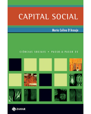 CAPITAL SOCIAL