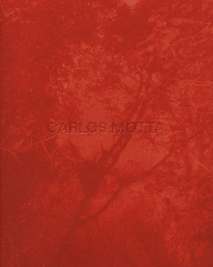 CARLOS MOTTA: MARCENARIA, ARQUITETURA E DESIGN