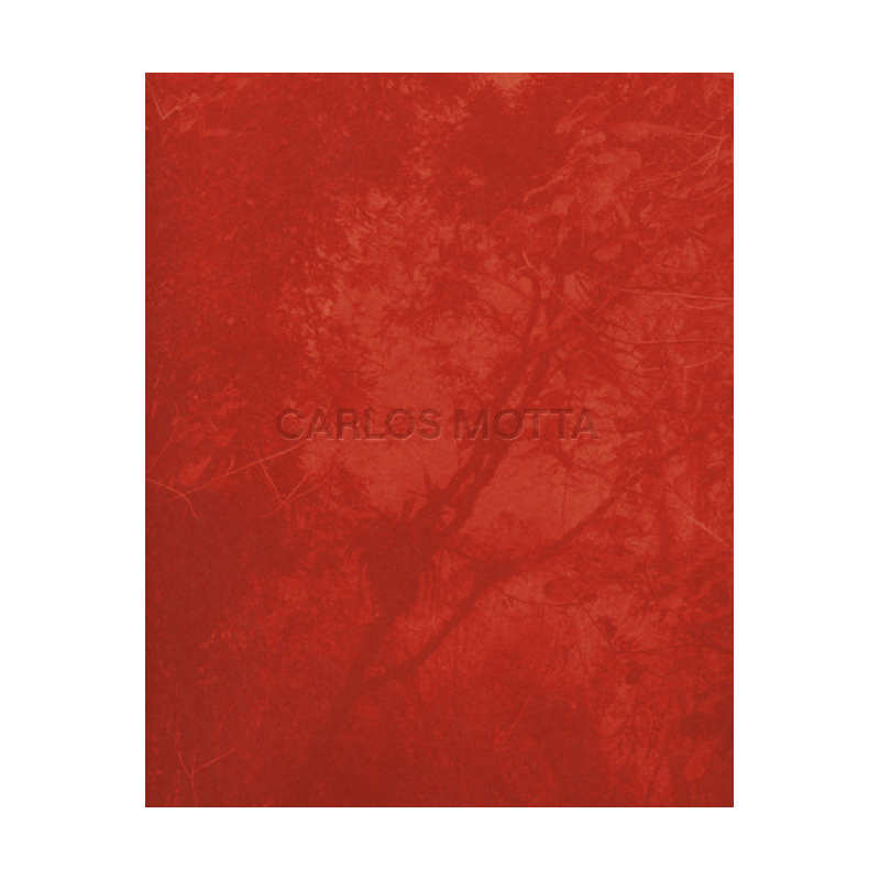 image_744c3014-59ff-4509-a13e-ce3d5a181501
