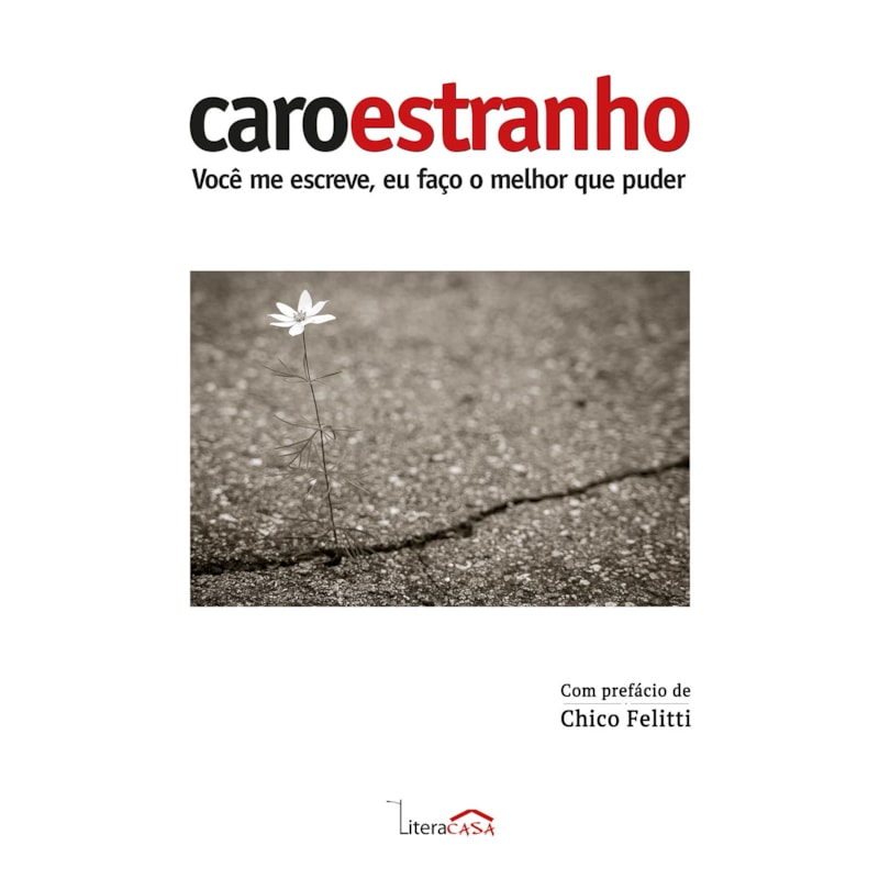 CARO ESTRANHO - VOCÊ ME ESCREVE, EU FAÇO O MELHOR QUE PUDER