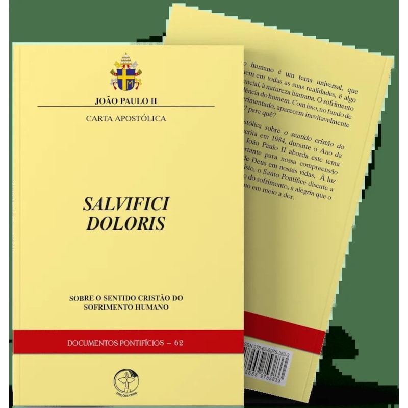CARTA APOSTÓLICA SALVIFICI DOLORIS - SOBRE O SENTIDO CRISTÃO DO SOFRIMENTO HUMANO - DOCUMENTOS PONTIFÍCIOS 62