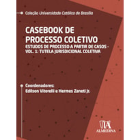 Casebook de processo coletivo: estudos de processo a partir de casos: tutela jurisdicional coletiva