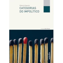 CATEGORIAS DO IMPOLÍTICO