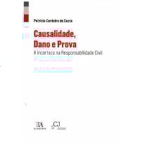 Causalidade, dano e prova: a incerteza na responsabilidade civil