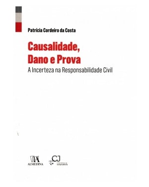 Causalidade, dano e prova: a incerteza na responsabilidade civil