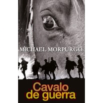 CAVALO DE GUERRA