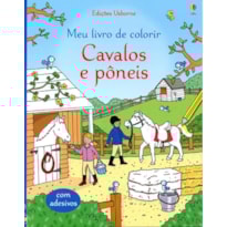 CAVALOS E PÔNEIS : MEU LIVRO DE COLORIR