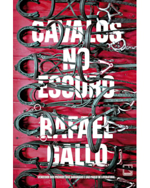 CAVALOS NO ESCURO