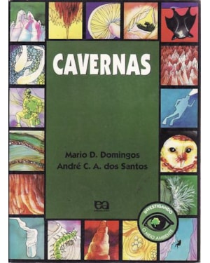 CAVERNAS - INVESTIGANDO - 3