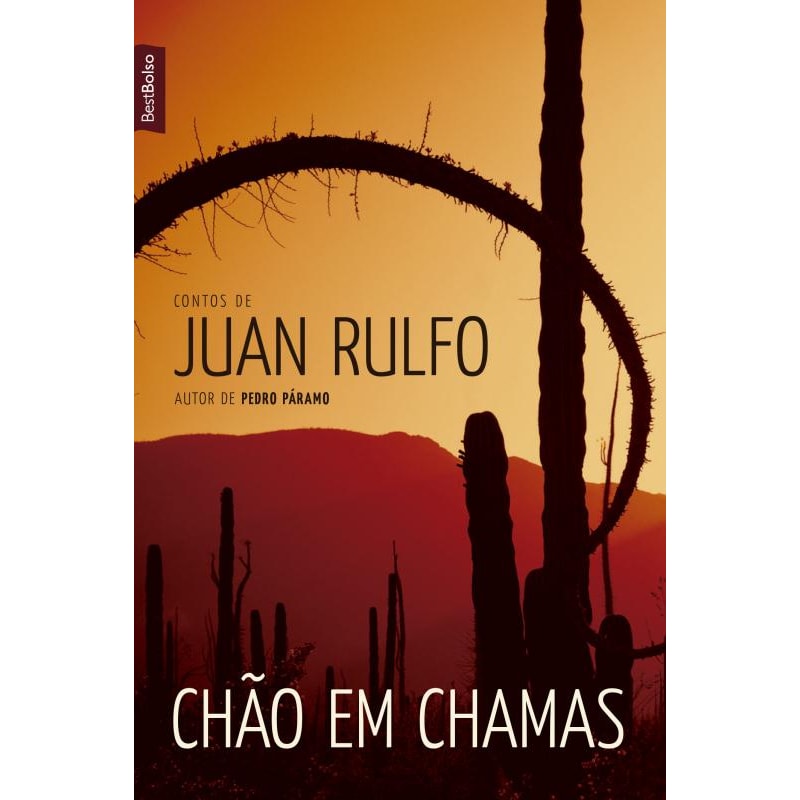 CHÃO EM CHAMAS (EDIÇÃO DE BOLSO)