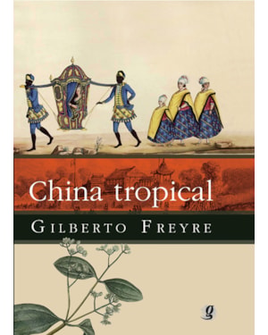 China tropical: e outros escritos sobre a influência do oriente na cultura luso-brasileira