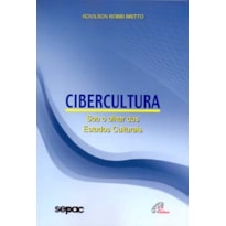 CIBERCULTURA: SOB O OLHAR DOS ESTUDOS CULTURAIS