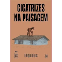 CICATRIZES NA PAISAGEM