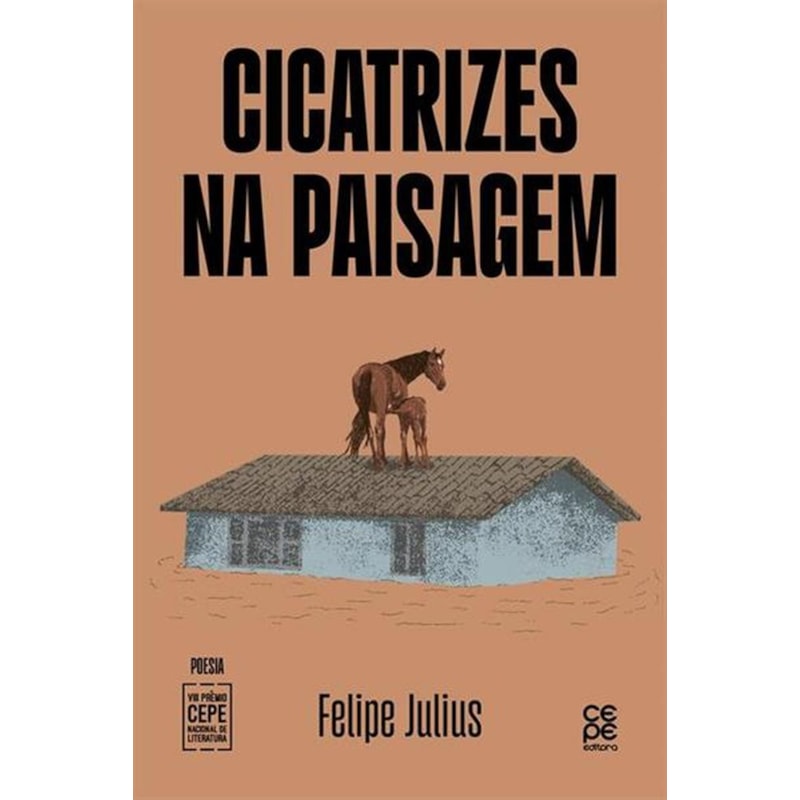 CICATRIZES NA PAISAGEM