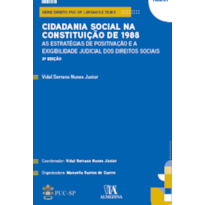 Cidadania social na Constituição de 1988: As estratégias de positivação e a exigibilidade judicial dos Direitos Sociais