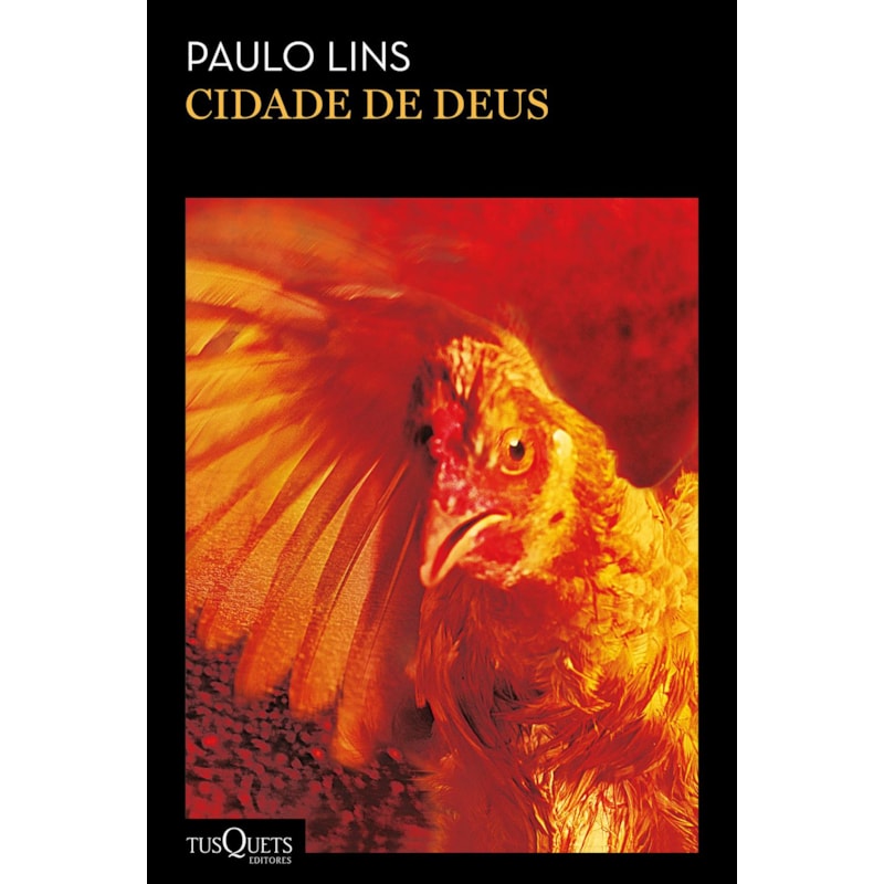 CIDADE DE DEUS: 2ª EDIÇÃO