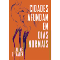 CIDADES AFUNDAM EM DIAS NORMAIS
