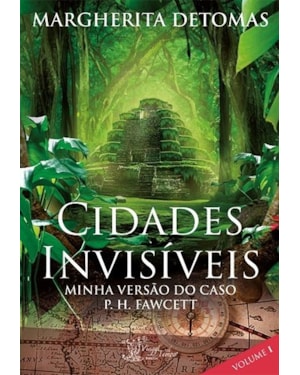 CIDADES INVISIVEIS - MINHA VERSÃO DO CASO