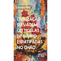 CIVILIZAÇÃO SELVAGEM OU TIGELAS DE BARRO ESPATIFADAS NO CHÃO