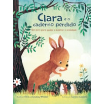 CLARA E O CADERNO PERDIDO: UM LIVRO SOBRE COMO ACALMAR A ANSIEDADE