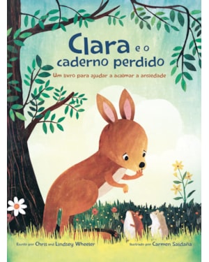 CLARA E O CADERNO PERDIDO: UM LIVRO SOBRE COMO ACALMAR A ANSIEDADE