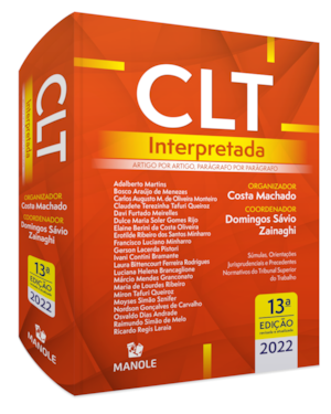 CLT interpretada: artigo por artigo, parágrafo por parágrafo