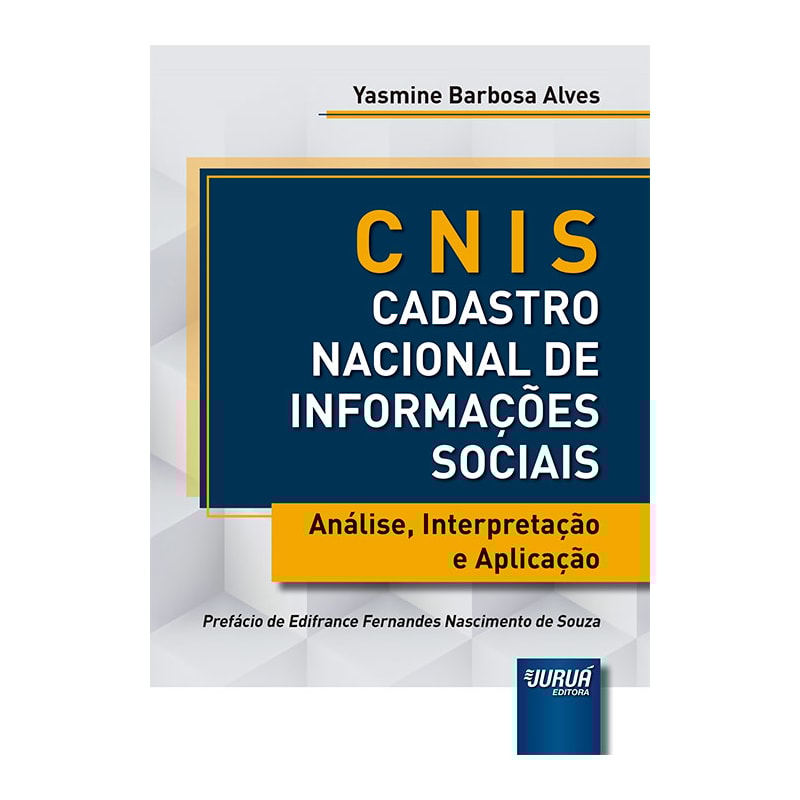 CNIS - CADASTRO NACIONAL DE INFORMAÇÕES SOCIAIS - ANÁLISE, INTERPRETAÇÃO E APLICAÇÃO