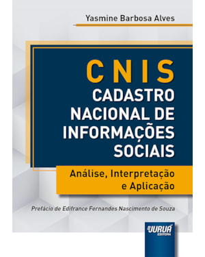 CNIS - CADASTRO NACIONAL DE INFORMAÇÕES SOCIAIS - ANÁLISE, INTERPRETAÇÃO E APLICAÇÃO