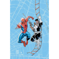Coleção Homem-Aranha: Teia de Heróis Vol. 4 - Homem-Aranha e Justiceiro
